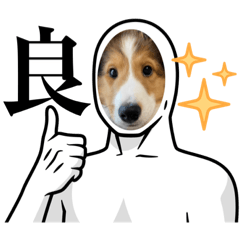 ringo_20220415223033