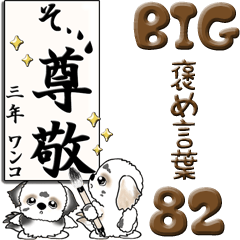【Big】シーズー犬 82『褒め言葉』