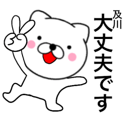 Name cat Oikawa