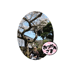 sayuri_20220415162903