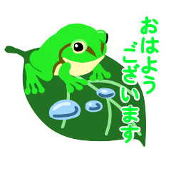 Relaxing Japanese tree frog Sticker