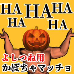 Yoshitsune Pumpkin macho