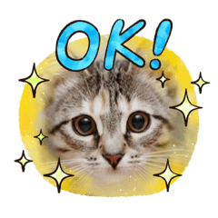 junko_20220416113112