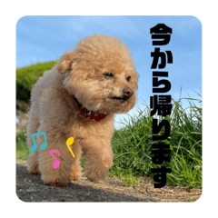 ripkun_20220416042208