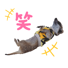 nozomi_20220416092219