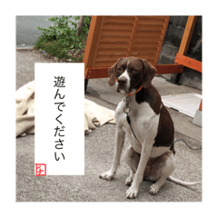 cherry_20220416103557