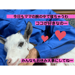 sayuri_20220416130357