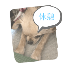 Takuya_20220416130351