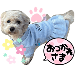 eripon_20220415233302