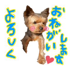 yuka_20220416125104