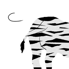 Unmotivated Zebra