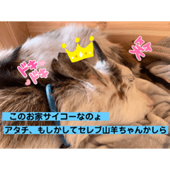 sayuri_20220416144848