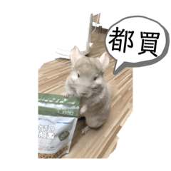 屁屁Q 上線
