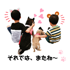 nozomi_20220416150548