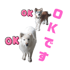 satoshi_20220416202818