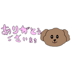 toypoodle stamp (elementary student)