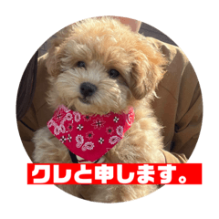 rina_20220416223421