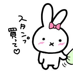Akiki Rabbit 2