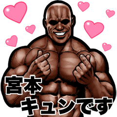 Miyamoto dedicated Muscle macho Big