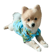 Babecat_20220416200524