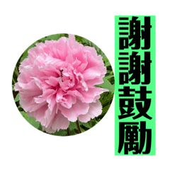 YuanJung_20220416233441