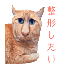 mei_17ans_20220416233025