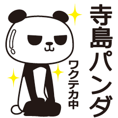 The Terashima panda