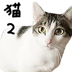 Insanely usable! Japanese cat everyday 2
