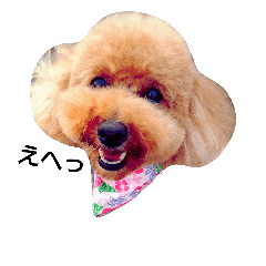 楽しい犬 小梅ちゃん Line スタンプ Line Store