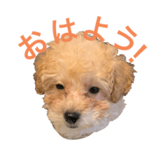 YUINA_20220416225715