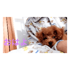 Smile_20220416201202