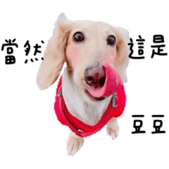 我是可愛的豆豆之猜猜我是誰篇