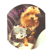 Friend kentan
