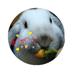 chiitan_20220417121152