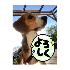 yuka_20220417124024