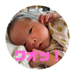 hikaru_20220417124613