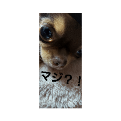 miyuu_20220417131131