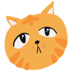 Fluffy Fat Cat Orange