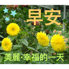 早安午安晚安問候4