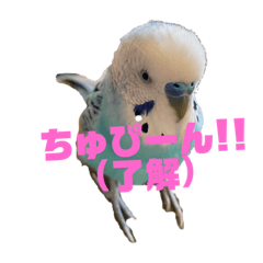 ai_20220417145236