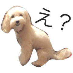 女王様べりたん3 Line スタンプ Line Store 女王様べりたん3 Line スタンプ Line Store