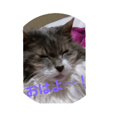 yuka_20220417172318