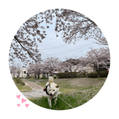 tomomi_20220417174430