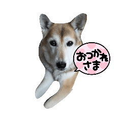 akiko_20220417202800