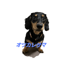 HIKARU_20220417221449