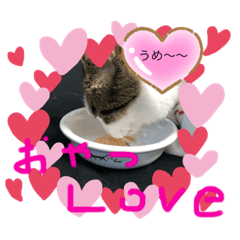 Suzu_22222