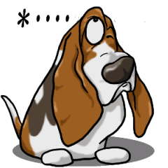 Basset hound 17(dog)