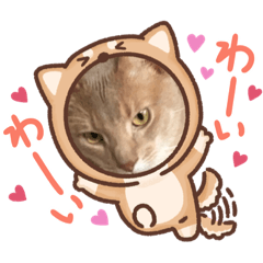 Monaka_20220418073058