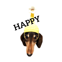 dachshund choco's happy stamp