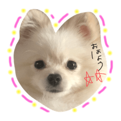 natsumi_20220417203444